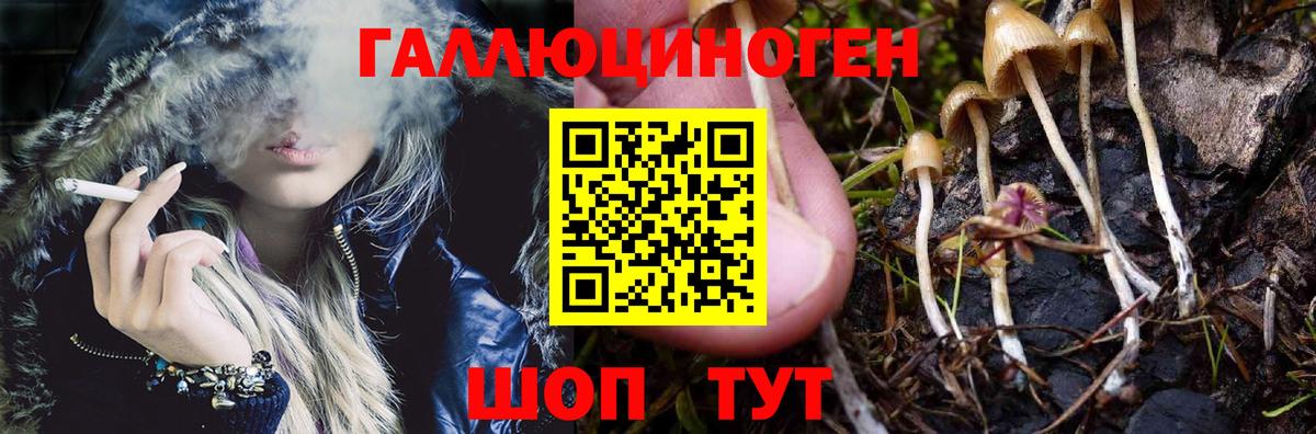 Псилоцибиновые грибы ЛСД Оренбург